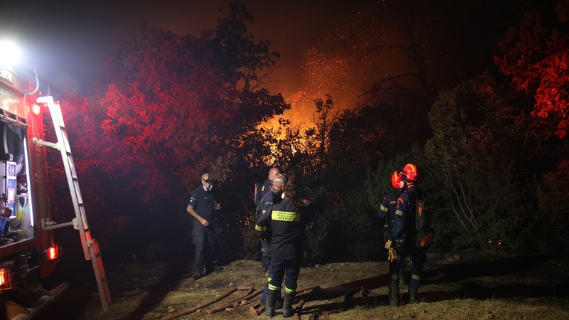 Firefighters battling the blaze in Evros on Saturday night