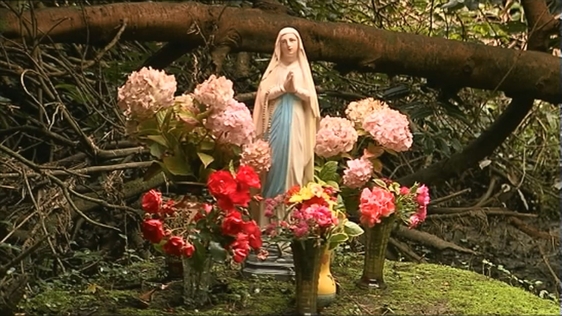 Holy well in the grounds of Slane Castle, 2008.
