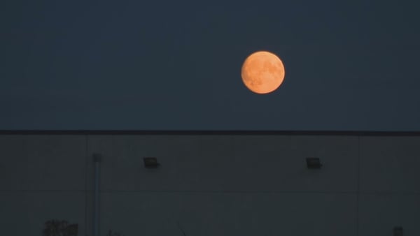 The supermoon rising over Abbottstown on August 29, 2023 Photo: RTÉ