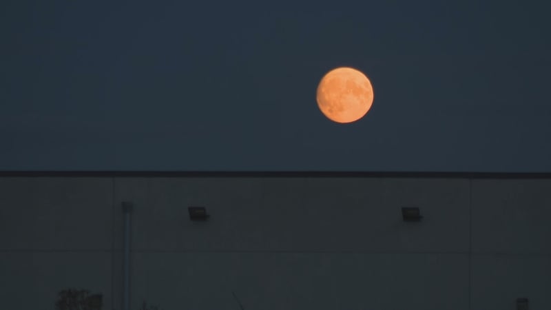 The supermoon rising over Abbottstown on August 29, 2023 Photo: RTÉ
