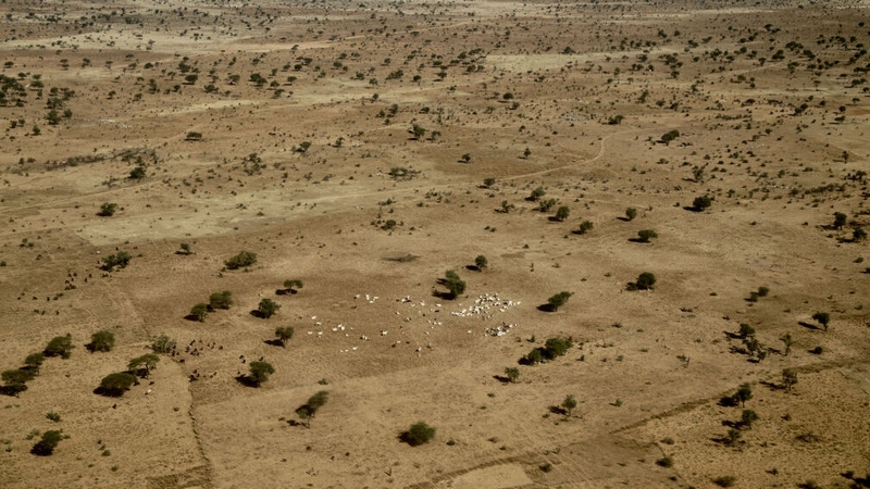 The dry savannah desert of southern Niger, where conflict has been rife (File pic)
