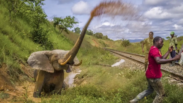 (Jasper Doest/Wildlife Photographer of the Year)