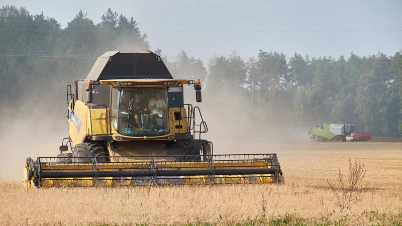 Ukraine is one of the largest producers of grain in the world (file image)