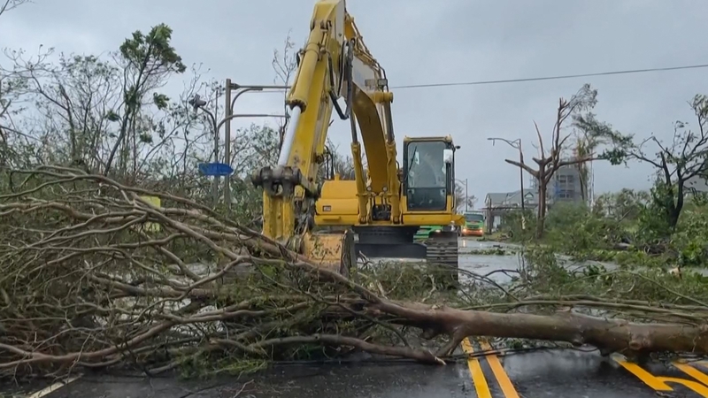 A worker clears fallen trees from a road in the aftermath of Typhoon Haikui in Taitung County