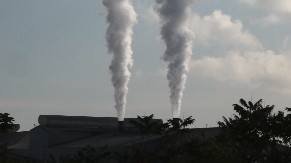 Is the government keeping their climate and environment promises?