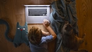 Warnings about Safeguarding Children online  show image