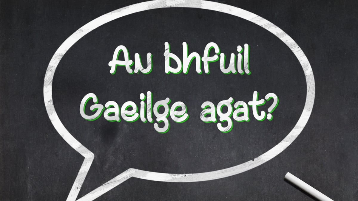 Mícheál S. Mac Donnacha ag caint faoin nGaelscolaíocht