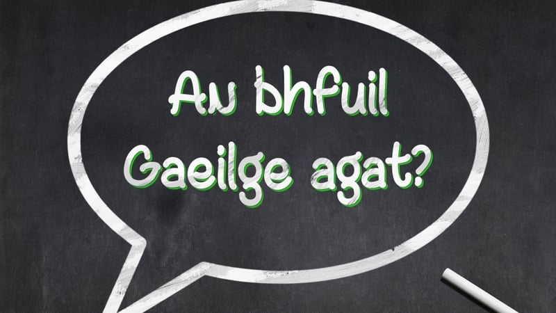 'Do you want to learn just enough Irish to be able to have a basic conversation? Or do you dream of reading the notoriously difficult novels of Máirtín Ó Cadhain?' Photo: Getty Images