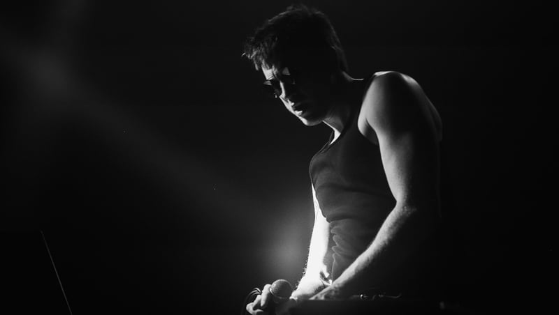 Owls. Photo credit: Michael Nolan