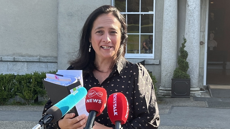 Catherine Martin said while matters of pay are not under her remit, she understood the frustration of staff in relation to the matter (File image)