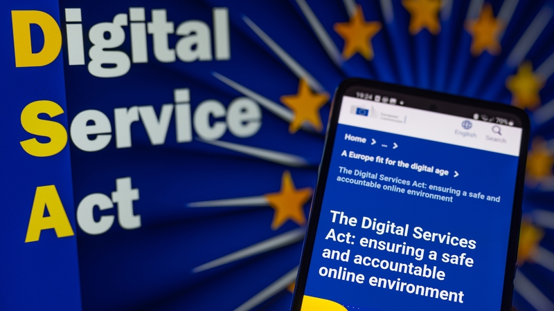 The DSA is a landmark law that requires online companies to do more to tackle illegal and harmful content on their platforms