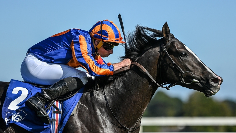 Aidan O'Brien's Auguste Rodin is second-favourite behind Economics