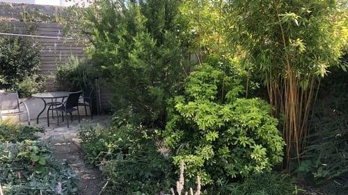 Carbon sequestering in effect in your own back garden