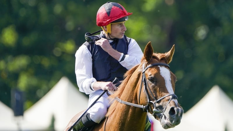 St Leger hopeful Kyprios