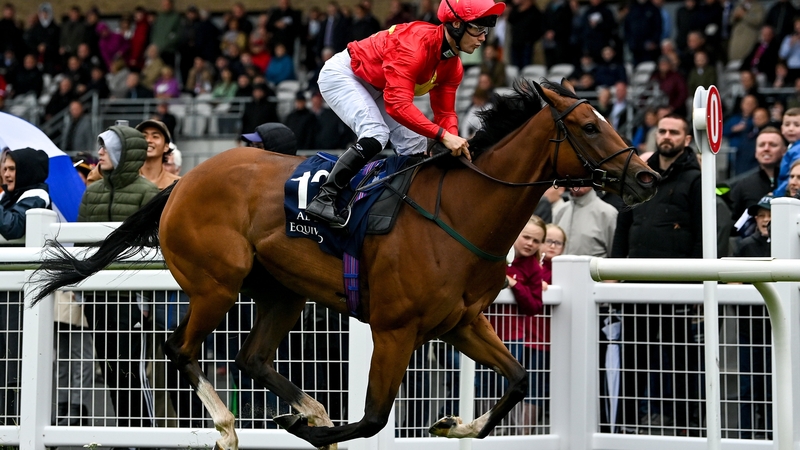 Highfield Princess and Jason Hart win the 2022 Flying Five