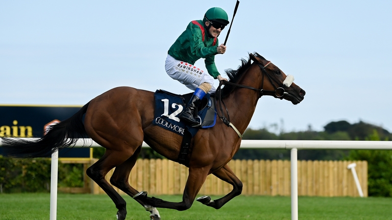 Chris Hayes celebrates another Group One success on Tahiyra