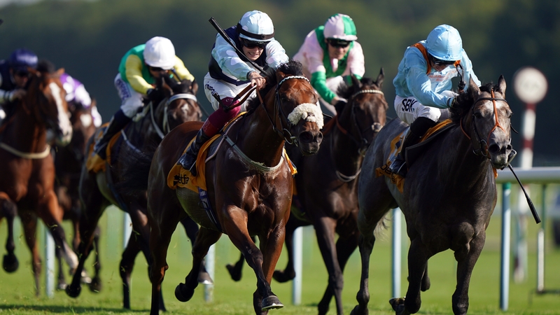 The nosebanded Regional dug deep to outbattle Shouldvebeenaring