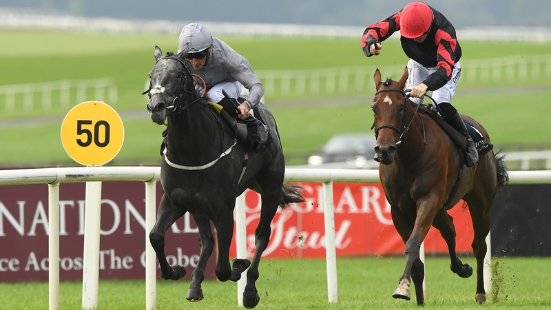 Fallen Angel (far side) drew away from the strong-travelling Vespertilio in the closing stages