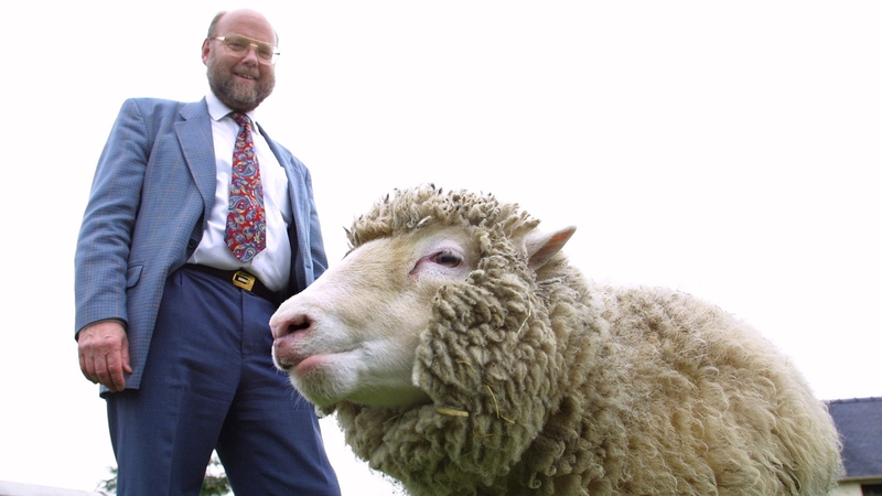 Ian Wilmut and Dolly, the world's first cloned sheep, at the Roslin Institute near Edinburgh where Dolly was developed and created