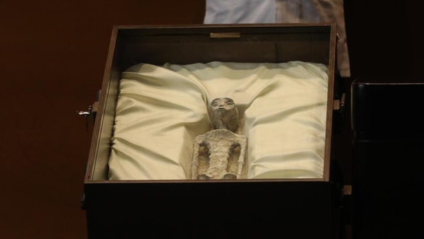 The two tiny 'bodies,' have three fingers on each hand and elongated heads (Credit: Press Office of Mexican Parliament)