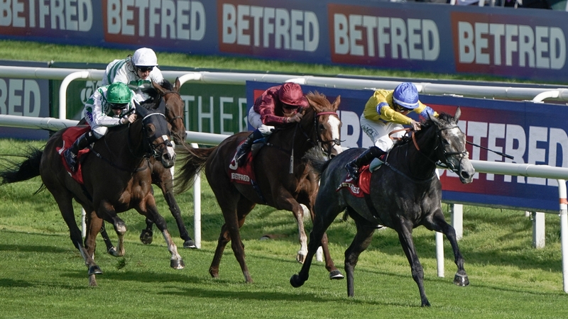 It looks like Longchamp or Ascot next for Sumo Sam