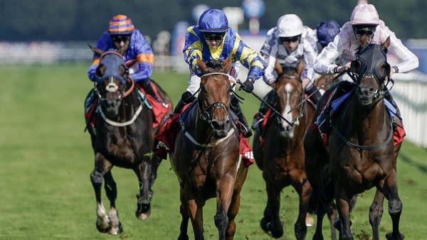 Trueshan had too much for his rivals despite pulling hard for a long way