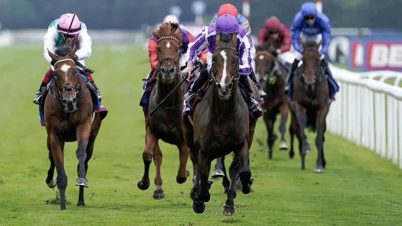 Continuous could be bound for the Prix de l'Arc de Triomphe, a race for which he would need to be supplemented