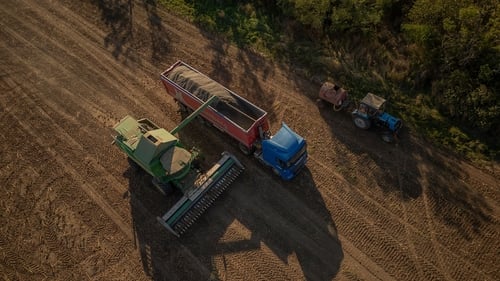 A combine harvester unloading sunflower seeds into a truck in a field in central Ukraine