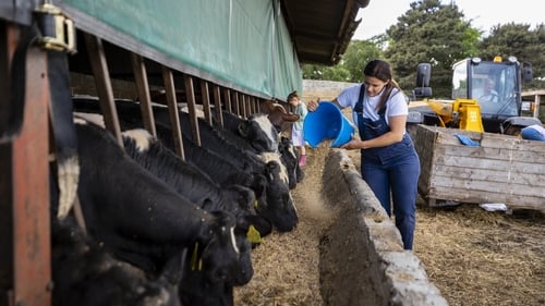 'There is a clear business case for more young people and females in farming, but the industry must be attractive for them'. Photo: Getty Images (stock image, photo posed by models)