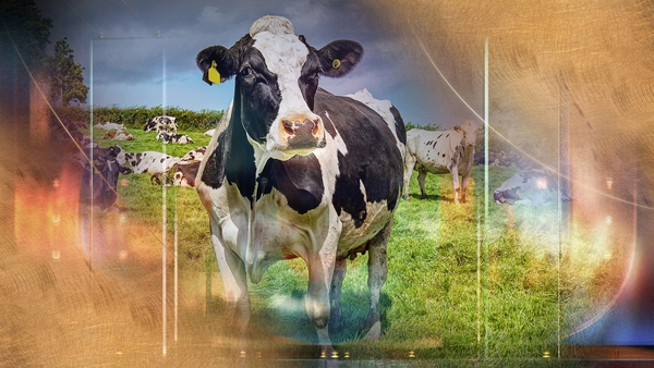 Watch: Farming, the climate crisis and care at Temple Street