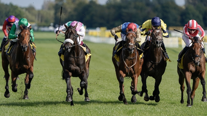 The nosebanded Array proved too tough to pass in a tight finish to the feature at Newbury