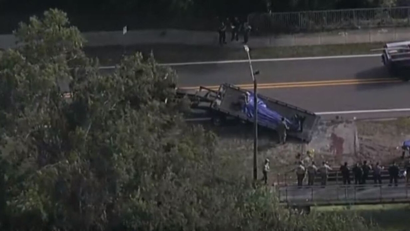 The alligator was loaded on to a truck after it was 'humanely killed'