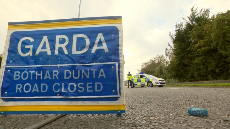 It was agreed the Department of Transport and Local Government Management Agency will look at interim options (file image)