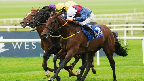 A daughter of the mud-loving Harzand, rain arrived at the Curragh just in time for Weld Park Stakes winner Caught U Looking (near side)