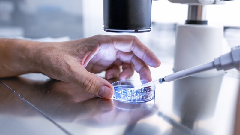 The State will also pay for embryos to be stored for up to two years under a new funding model starting today