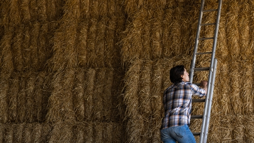 The main hazards when working at height are falls from ladders, unprotected edges, and falls through fragile roof materials (stock image)