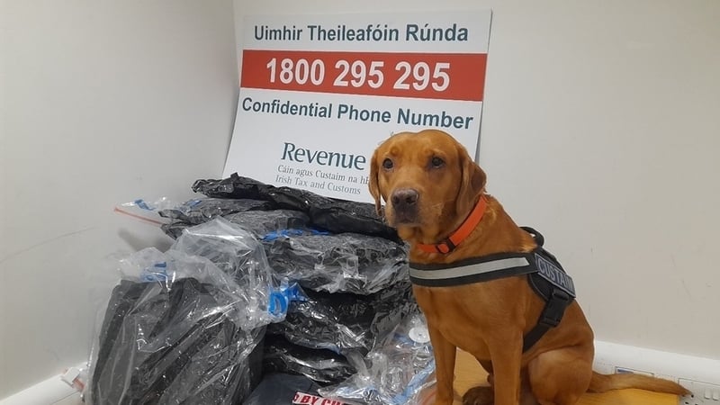 Revenue detector dog, Blue with the drugs seized at Dublin Airport