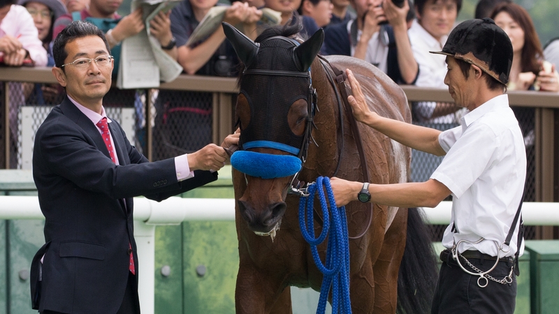 Tomohito Ozeki, pictured with Annelies, was on hand as Through Seven Seas went through a final piece of work on Les Aigles gallops in Chantilly this morning