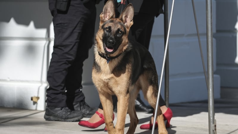 Commander will undergo further training to help him adjust to life at the White House