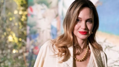 Angelina Jolie pictured at the White House in April this year