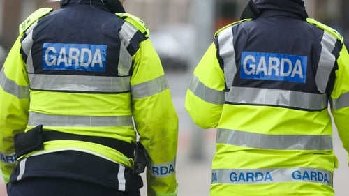 So far this year, 106 gardaí have left the organisation (file image)