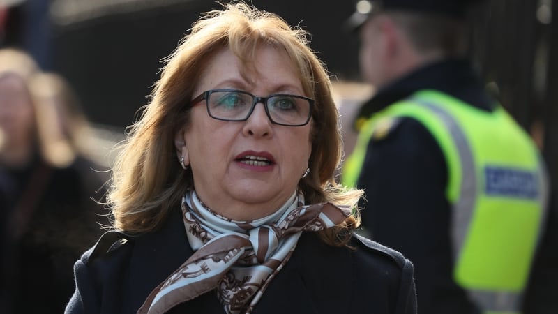 Former president Mary McAleese said citizens of Ireland were not homogenous