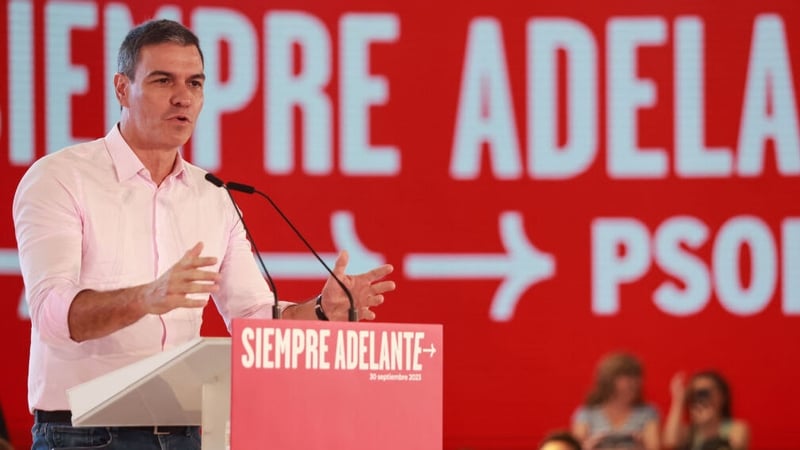 Spain's acting Prime Minister Pedro Sanchez has been asked to try form a government (File Photo)