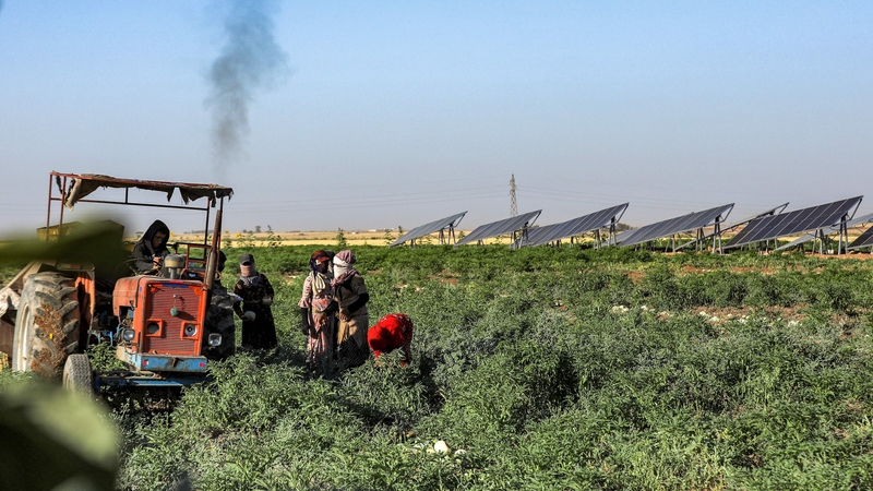 Solar energy has offered a lifeline for farmers in Syria