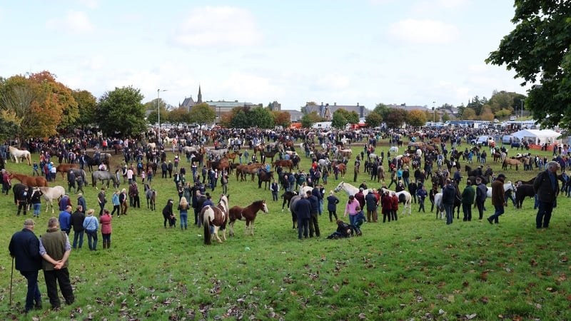 Horse deals are still carried out the old-fashioned way at the fair (Photo: Gerry Stronge)