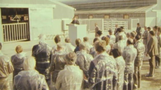 Tully Catlle Performance Testing Station, 1983