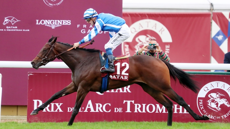 Blue Rose Cen won four of her six starts this season