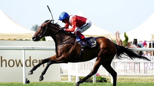 The four-year-old Inspiral will have one more engagemenbt this term