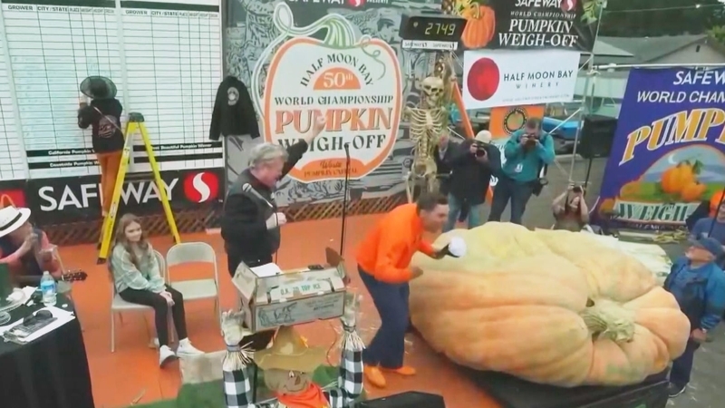 The winning pumpkin weighed in at 1,247 kilograms