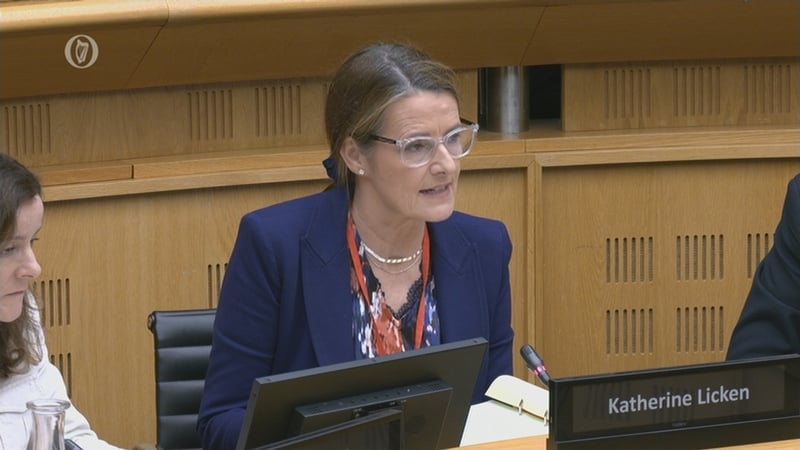 Katherine Licken came to public prominence in recent weeks over the RTÉ payments controversy